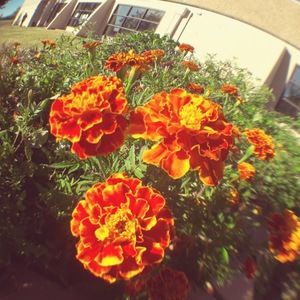 Meet your Posher, Victoria